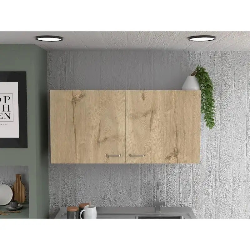 Double Door Wall-Mounted Storage Cabinet for Kitchen, Bathroom or Garage